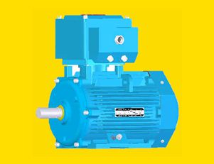 南陽YB2E80～355隔爆型三相異步電動(dòng)機(jī)