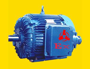 南陽(yáng)YAXn系列高效率增安型三相異步電動(dòng)機(jī)